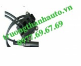 Mobil đánh lửa Nissan